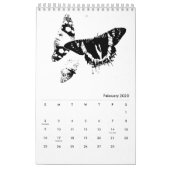 Bugs World - Insects - 2023 Calendar (Feb 2025)