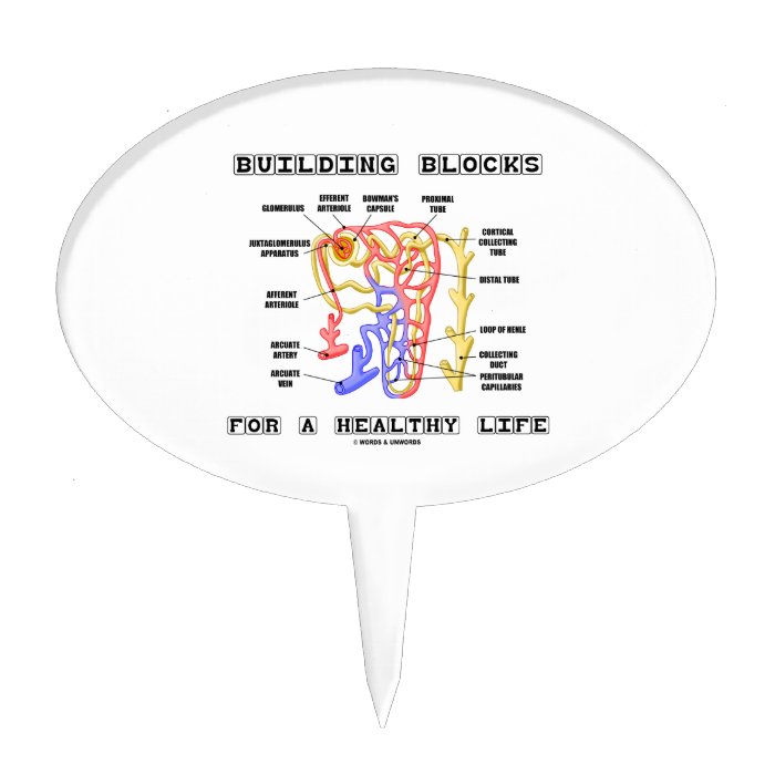 Building Blocks For A Healthy Life Kidney Nephron Cake Picks