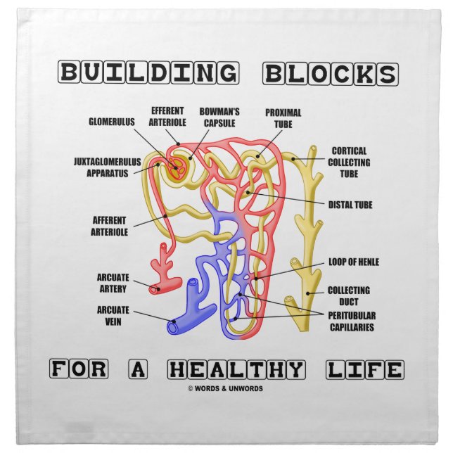 Building Blocks For A Healthy Life Kidney Nephron Cloth Napkin (Front)
