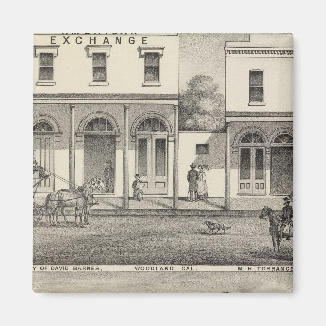 Buildings Woodland, Yolo Magnet (Front)