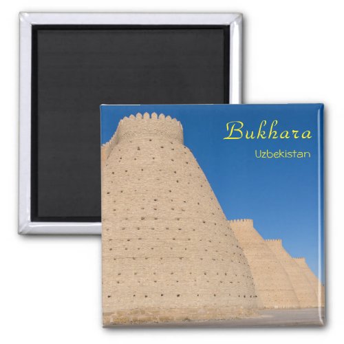 Bukhara Uzbekistan _  Wall of the Ark fortress Magnet