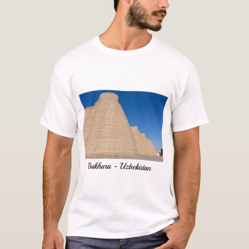 Bukhara Uzbekistan _  Wall of the Ark fortress T_Shirt