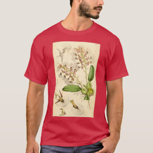 Bulbophyllum barbigerum spelled Bolbophyllum barbi T-Shirt