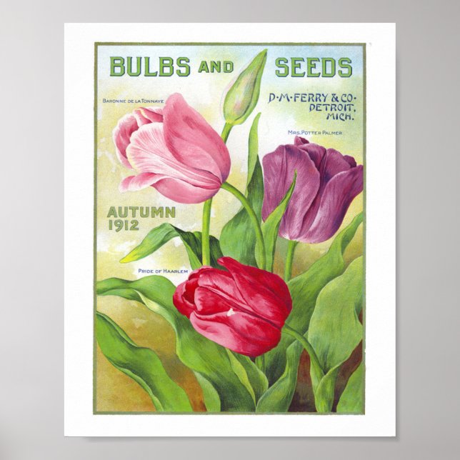 Bulbs and Seeds 1912 Poster (Front)