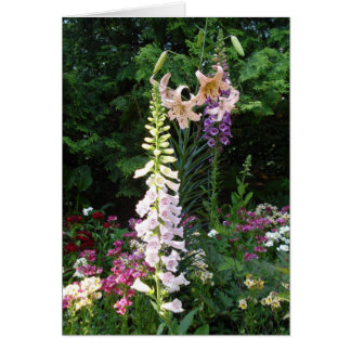 Bulbs in Bloom Cards
