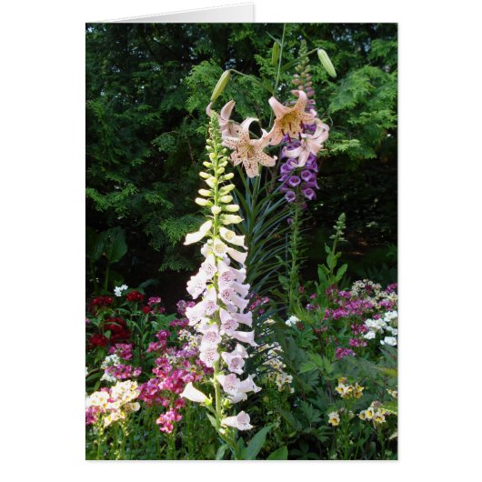 Bulbs in Bloom Cards (Front)