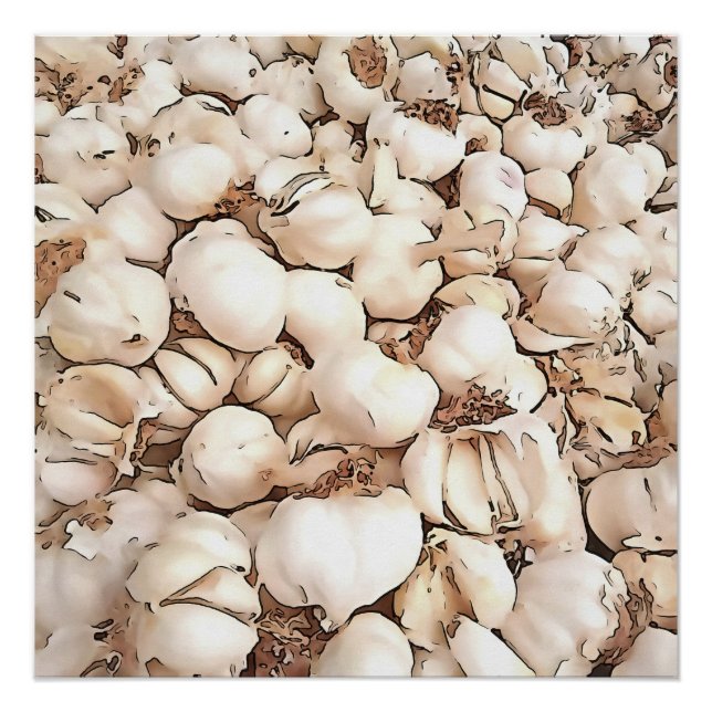 Bulbs Of Garlic Acrylic Art Poster (Front)