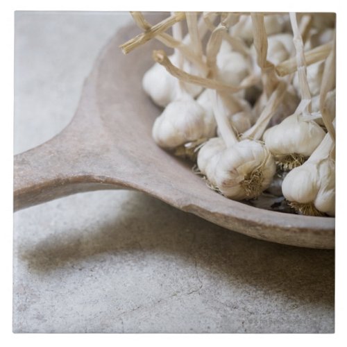 Bulbs of garlic in an earthenware bowl ceramic tile