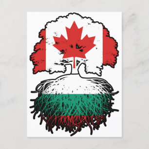 Bulgaria Bulgarian Canadian Canada Tree Roots Flag Postcard