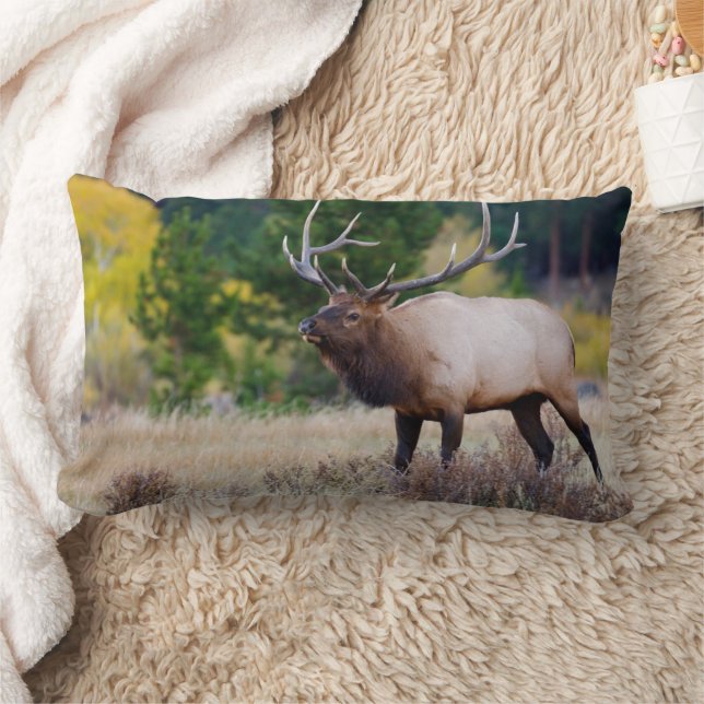 Bull & Aspen Trees | Rocky Mountain National Park Lumbar Pillow (Blanket)