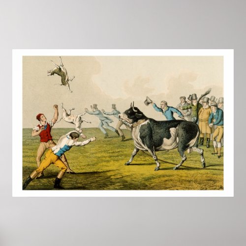 Bull Baiting pub by Thomas McLean 1820 prin Poster