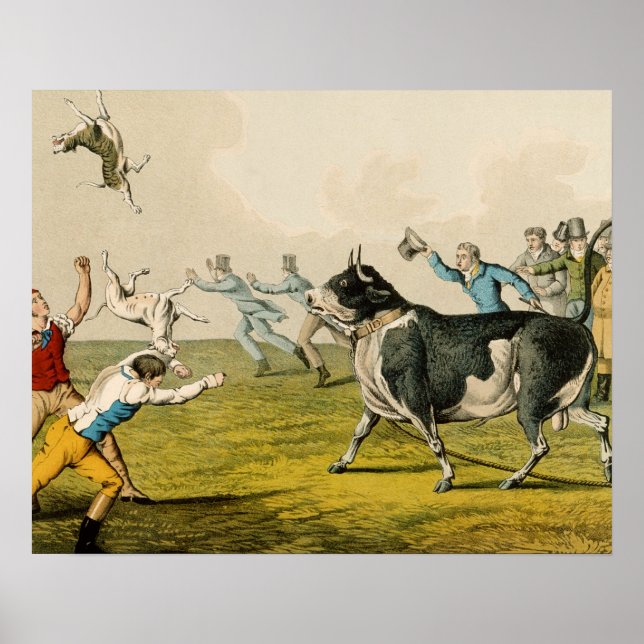 'Bull Baiting', pub. by Thomas McLean, 1820, (prin Poster (Front)