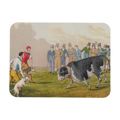 Bull Baiting pubby Thomas McLean 1820 print Magnet