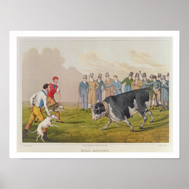 'Bull Baiting', pub.by Thomas McLean, 1820, (print Poster (Front)
