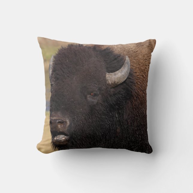 bull bison talking throw pillow (Front)