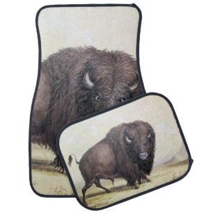 Bull Buffalo Car Floor Mat