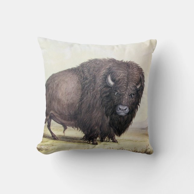 Bull Buffalo Throw Pillow (Front)