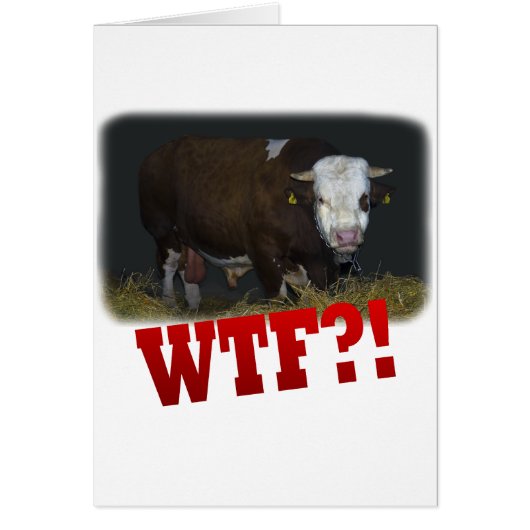 bull cards (Front)