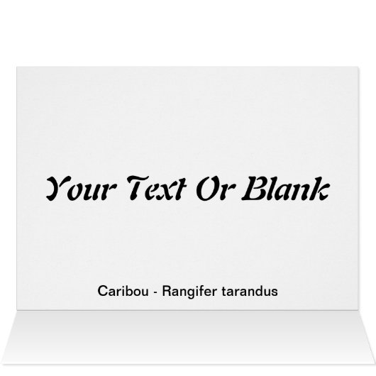 Bull Caribou (Inside Horizontal (Top))