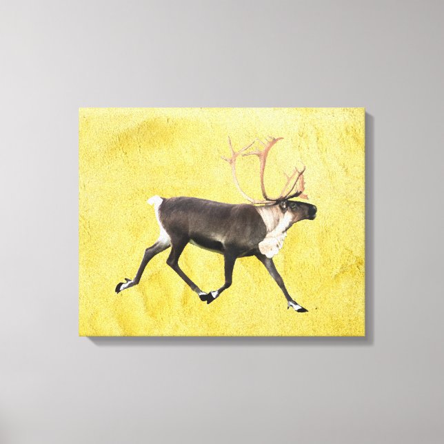 Bull Caribou Canvas Print (Front)