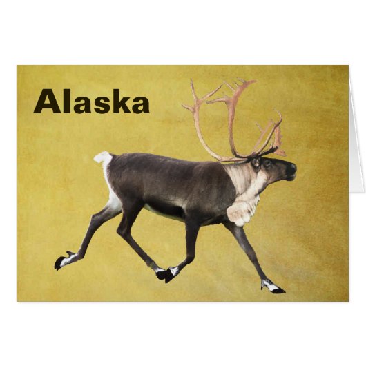 Bull Caribou Cards (Front Horizontal)