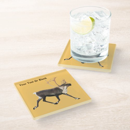 Bull Caribou Glass Coaster