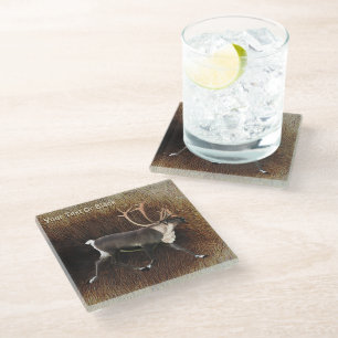 Bull Caribou (Reindeer) Glass Coaster