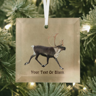 Bull Caribou (Reindeer) On Old Paper Glass Ornament