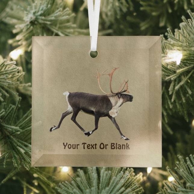 Bull Caribou (Reindeer) On Old Paper Glass Ornament (Insitu)