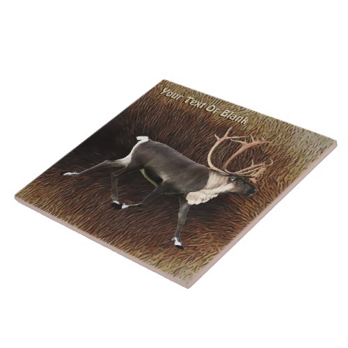 Bull Caribou Reindeer Tile