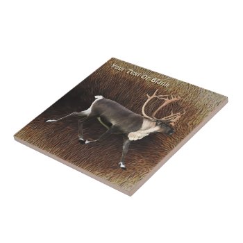 Bull Caribou (reindeer) Tile by Bluestar48 at Zazzle