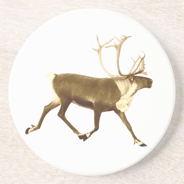 Bull Caribou Sandstone Coaster (Front)