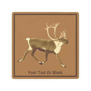 Bull Caribou - Sepia Metal Print