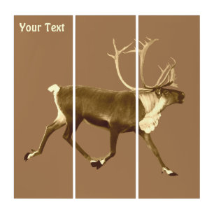 Bull Caribou - Sepia Triptych