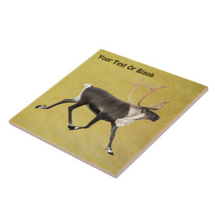 Bull Caribou Tile