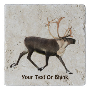 Bull Caribou Trivet