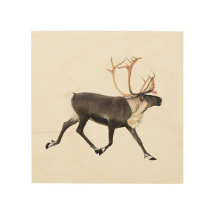 Bull Caribou Wood Wall Art