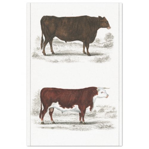Bull Cow Ephemera Decoupage Vintage Farm Tissue Paper