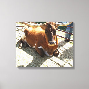Bull Cow Long Horns Ranch rodeo Animal Photography Canvas Print