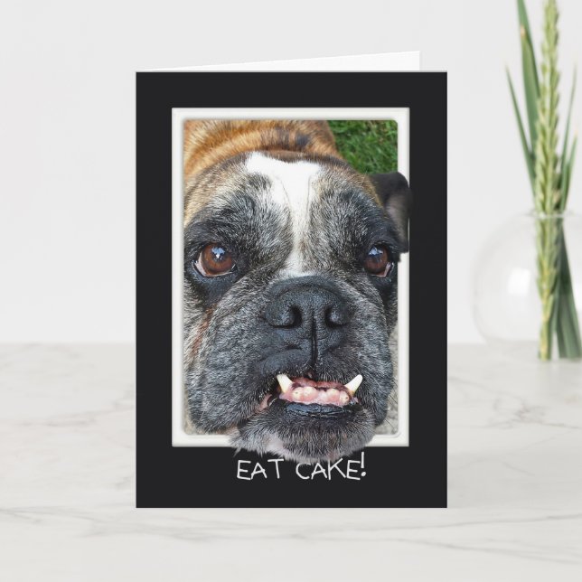 Bull Dog Birthday humor Card (Front)