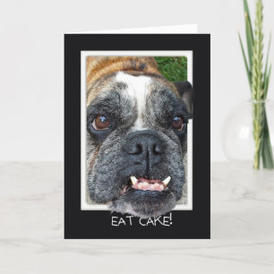 Bull Dog Birthday humor Card