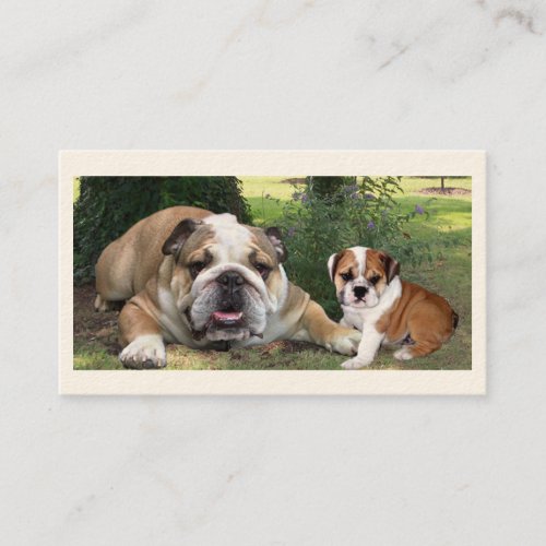 Bull Dog Breeder Business Card