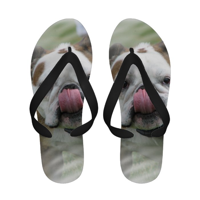 Bull Dog Flip Flops