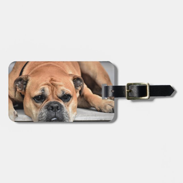 Bull Dog Luggage Tag (Front Horizontal)