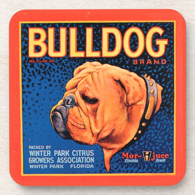 Bull Dog on a Blue Background Beverage Coaster (Front)