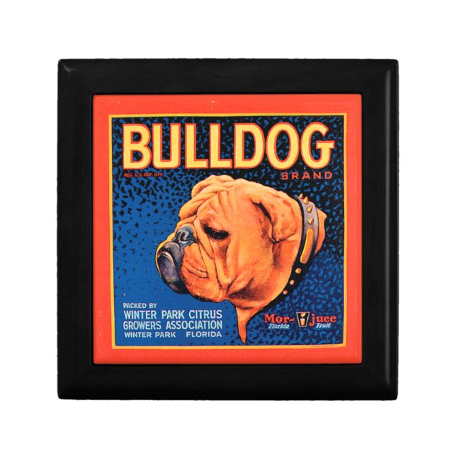 Bull Dog on a Blue Background Keepsake Box (Front)