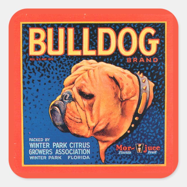 Bull Dog on a Blue Background Square Sticker (Front)