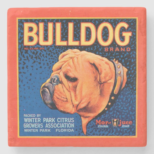 Bull Dog on a Blue Background Stone Coaster (Front)