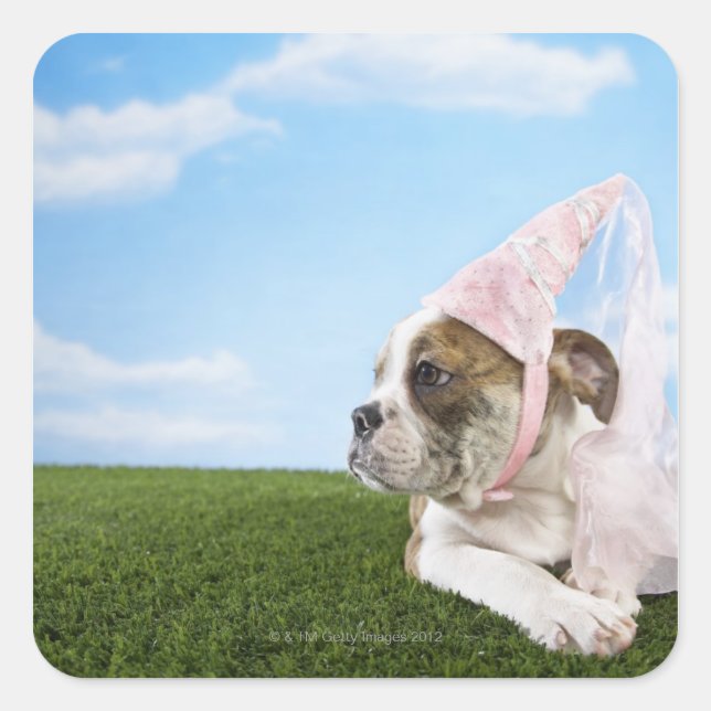 Bull Dog puppy princess Square Sticker (Front)