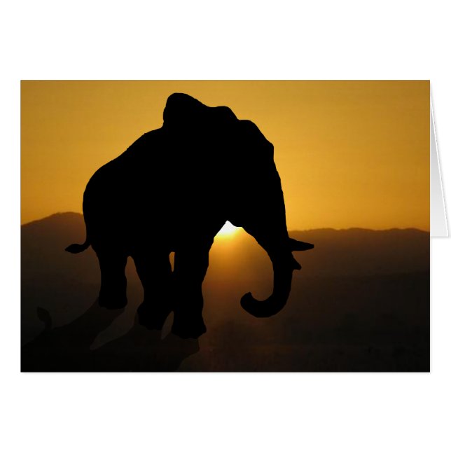 Bull elephant cards (Front Horizontal)